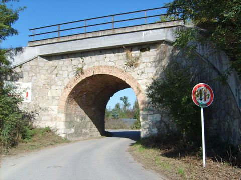 Foto 64